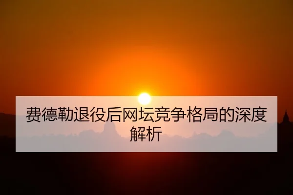 费德勒退役后网坛竞争格局的深度解析